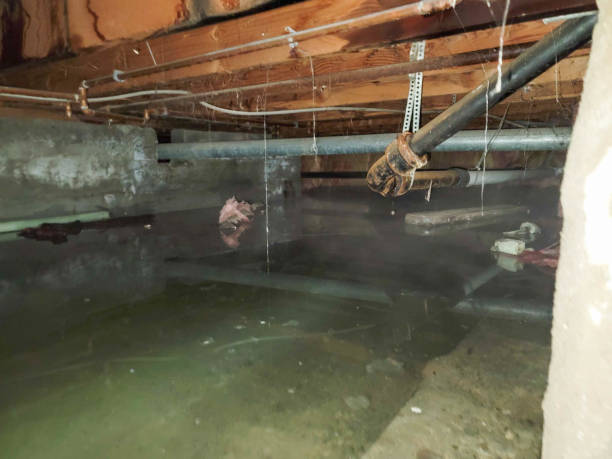 Best 24/7 water damage repair  in Conley, GA