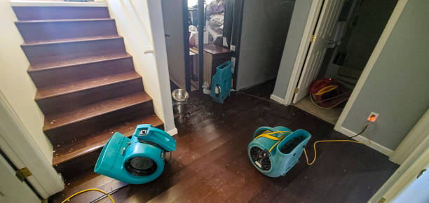 Best Carpet water damage restoration  in Conley, GA
