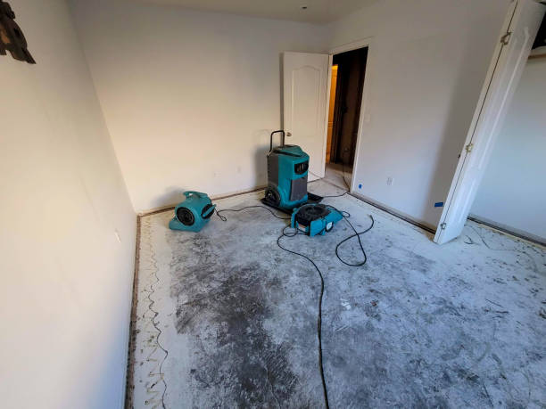 Best Water damage cleanup near me  in Conley, GA
