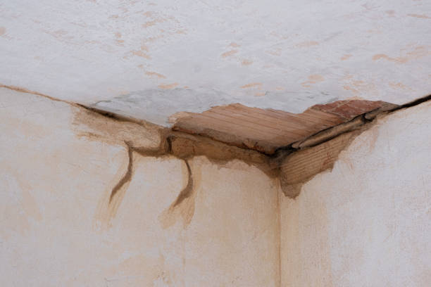 Best 24-hour water damage restoration  in Conley, GA