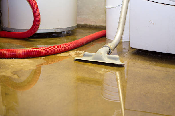 Best Local water damage restoration  in Conley, GA