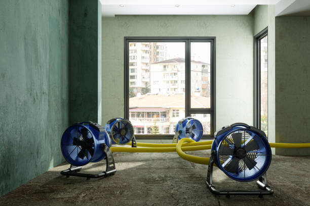 Best Water damage restoration near me  in Conley, GA