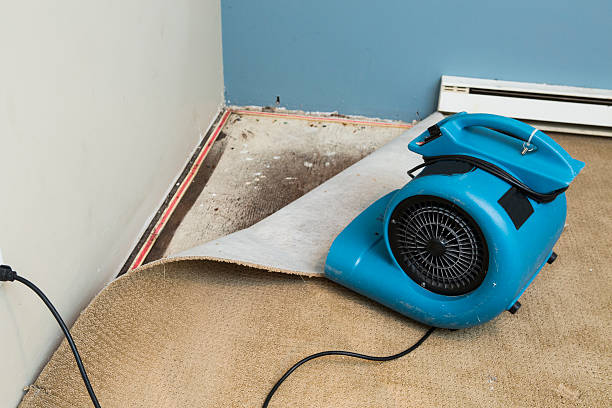 Professional Water damage restoration in GA